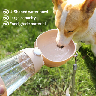 2 in 1 Portable Water Bottle