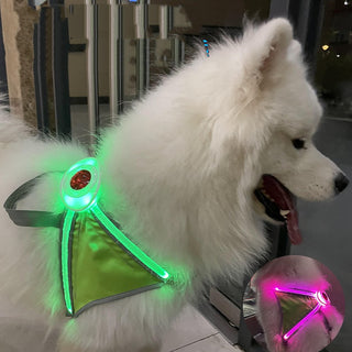 Nylon Flashing LED Dog Harness