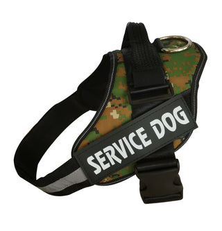 Personalized No-Pull Dog Harness