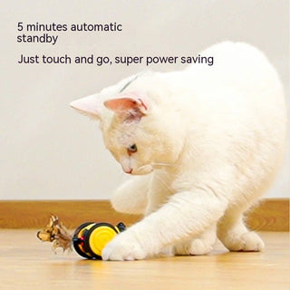 Bee Smart Cat Teaser