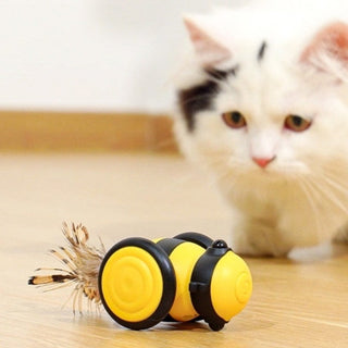 Bee Smart Cat Teaser