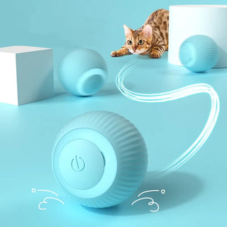 PouncePlay Motion Cat Ball