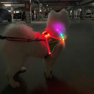 Nylon Flashing LED Dog Harness