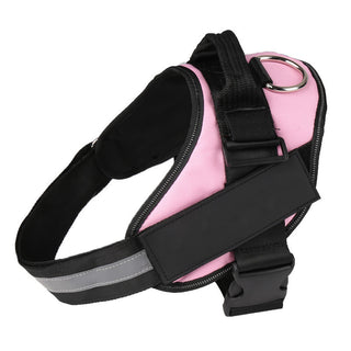 Personalized No-Pull Dog Harness